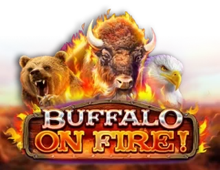 Buffalo on Fire! (Red Rake) Slot Review | Get a Bonus