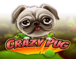 Crazy Pug