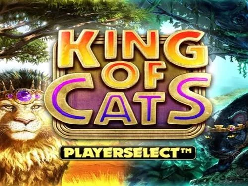 King of Cats