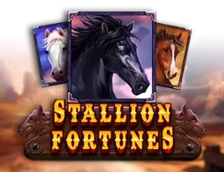 Stallion Fortunes