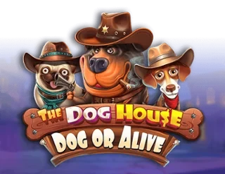 The Dog House - Dog or Alive