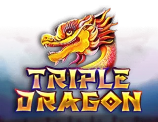 Triple Dragon (Platipus)